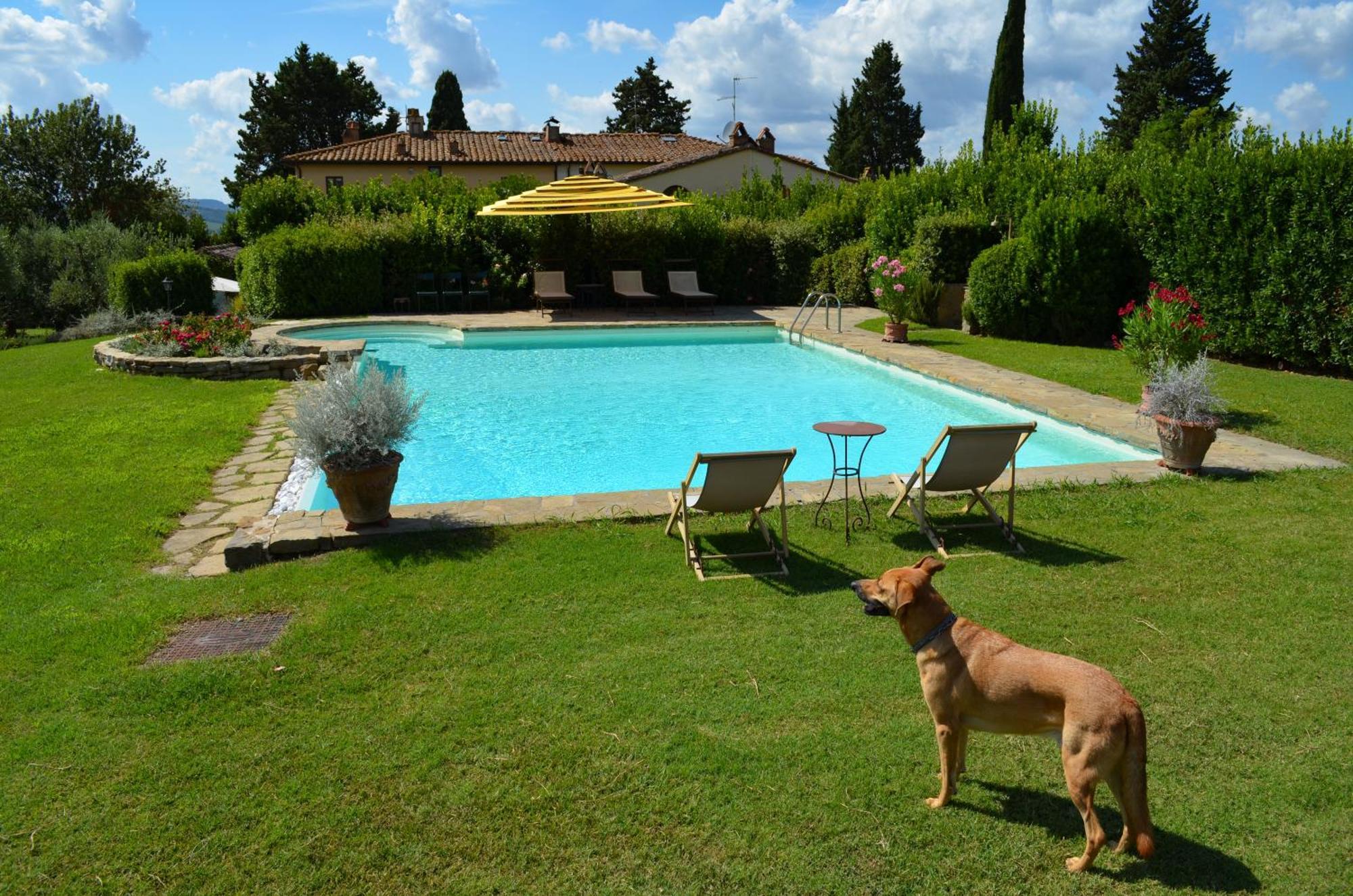 Dante Country House - Casa Con Piscina Privata E Jacuzzi Tra Firenze E Chianti Scandicci Dış mekan fotoğraf
